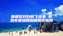 春暖花开白蚁飞出来 防治专家提醒别擅用灭虫剂