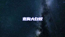 宽胸大白蚁