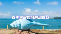 春季家居如何防治白蚁