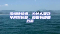 深圳除蟑螂，为什么要及早防制蟑螂，蟑螂有哪些危害