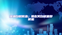 深圳白蚁防治;现在灭白蚁最好时机