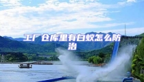 工厂仓库里有白蚁怎么防治