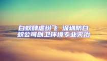 白蚁肆虐纷飞 深圳防白蚁公司创卫环境专业灭治