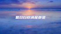夏日白蚁满屋都是
