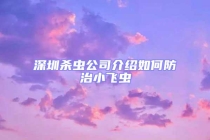 深圳杀虫公司介绍如何防治小飞虫