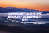 深圳除蟑螂，家里发现蟑螂怎么办？居家除蟑螂小妙招