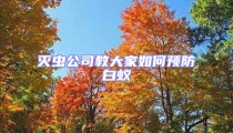 灭虫公司教大家如何预防白蚁