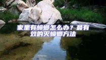 家里有蟑螂怎么办?最有效的灭蟑螂方法