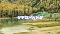 冬季如何灭蟑螂