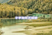 冬季如何灭蟑螂