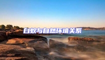 白蚁与自然环境关系