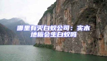 哪里有灭白蚁公司:实木地板会生白蚁吗