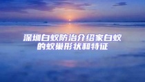 深圳白蚁防治介绍家白蚁的蚁巢形状和特征