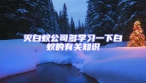 灭白蚁公司多学习一下白蚁的有关知识