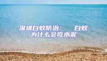 深圳白蚁防治：  白蚁为什么会吃水泥
