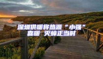 深圳供暖将热源“小强”喜暖 灭蟑正当时