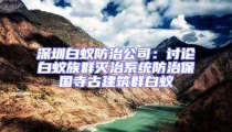 深圳白蚁防治公司:讨论白蚁族群灭治系统防治保国寺古建筑群白蚁