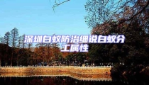 深圳白蚁防治细说白蚁分工属性