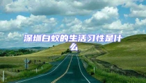 深圳白蚁的生活习性是什么