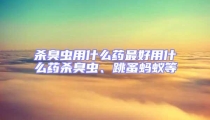杀臭虫用什么药最好用什么药杀臭虫、跳蚤蚂蚁等