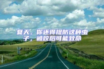 夏天，你还得提防这种虫子，被咬后可能致命