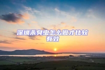 深圳杀臭虫怎么做才比较有效