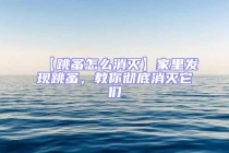 【跳蚤怎么消灭】家里发现跳蚤，教你彻底消灭它们