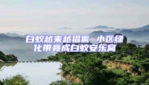 白蚁越来越猖獗 小区绿化带竟成白蚁安乐窝