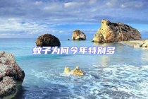 蚊子为何今年特别多