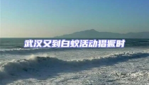 武汉又到白蚁活动猖獗时