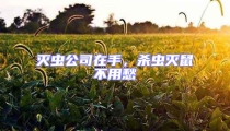 灭虫公司在手,杀虫灭鼠不用愁