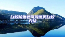 白蚁防治公司浅谈灭白蚁方法