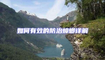 如何有效的防治蟑螂详解