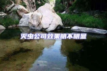 灭虫公司效果明不明显