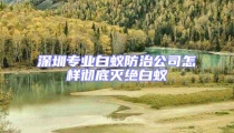 深圳专业白蚁防治公司怎样彻底灭绝白蚁