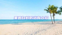 果园白蚁防治有六招