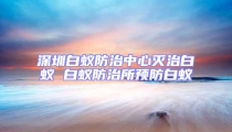 深圳白蚁防治中心灭治白蚁 白蚁防治所预防白蚁