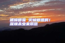 抓蟑螂易 灭蟑螂难啊！ 深圳杀虫来帮您