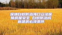 深圳白蚁防治海口立法保障房屋安全 白蚁防治成新建房必须条件
