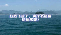 白蚁飞走了,为什么还要防治不要?