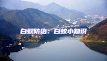 白蚁防治:白蚁小知识