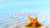 家庭白蚁知识问答