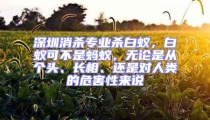 深圳消杀专业杀白蚁，白蚁可不是蚂蚁，无论是从个头、长相、还是对人类的危害性来说