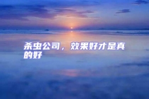 杀虫公司，效果好才是真的好