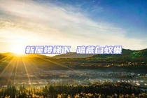新屋楼梯下 暗藏白蚁巢