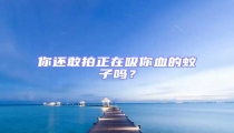 你还敢拍正在吸你血的蚊子吗?