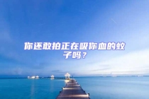 你还敢拍正在吸你血的蚊子吗？