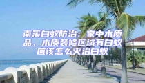 南溪白蚁防治:家中木质品、木质装修区域有白蚁应该怎么灭治白蚁