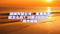 深圳灭鼠公司:家里有老鼠怎么办?只需3招即可“瓮中捉鳖”!