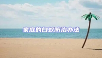 家庭的白蚁防治办法